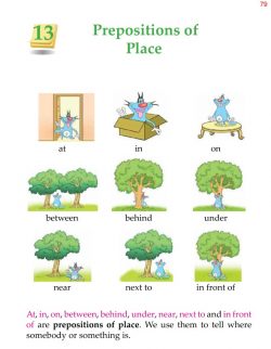 2nd Grade Grammar Prepositions of Place.jpg